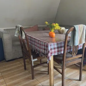 Everyday Cat Хостел